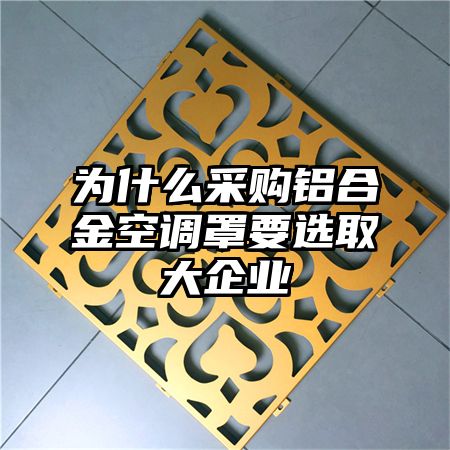 為什么采購鋁合金空調罩要選取大企業