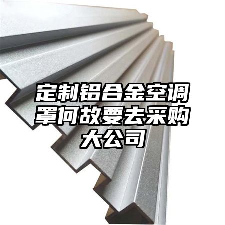 定制鋁合金空調罩何故要去采購大公司