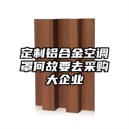 定制鋁合金空調罩何故要去采購大企業